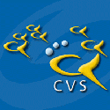 CVS Logo